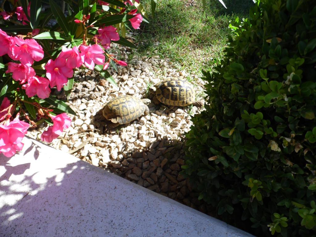 Holiday Home Villa Romantica Sveti Filip i Jakov Luaran gambar